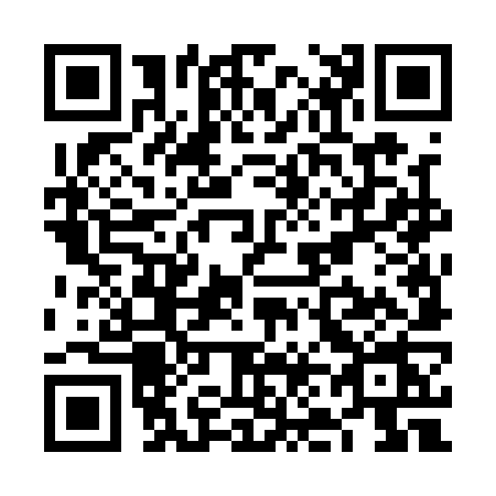 QR code for VN41