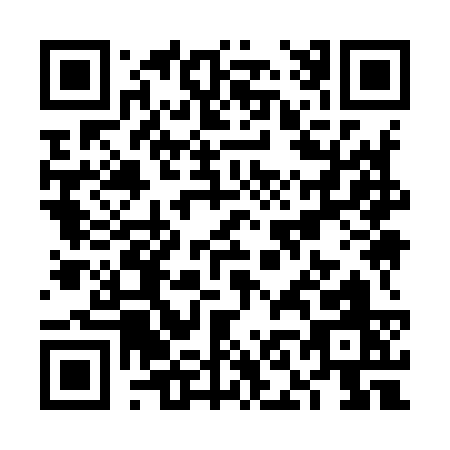QR code for VN993