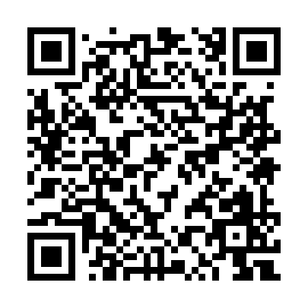 QR code for VP919