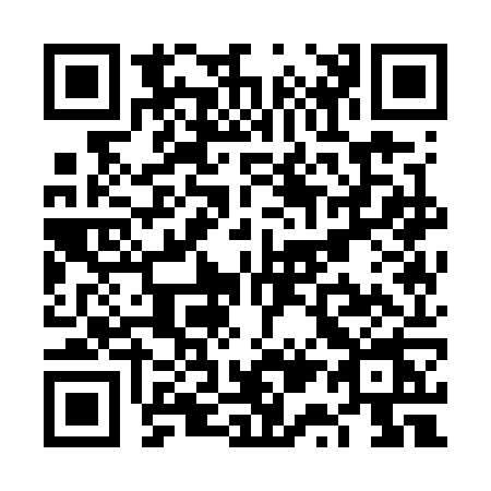 QR code for VQ17