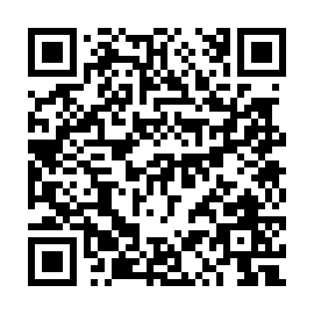 QR code for VQ307