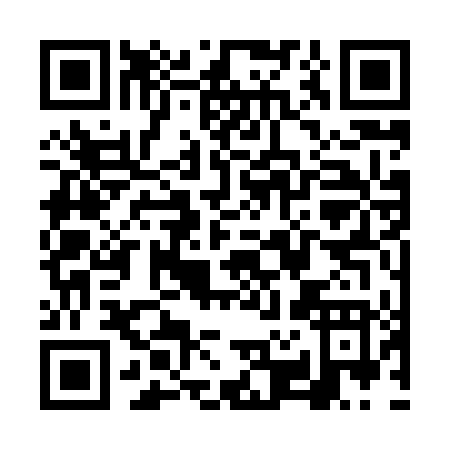 QR code for VR384