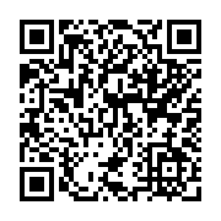 QR code for VV339