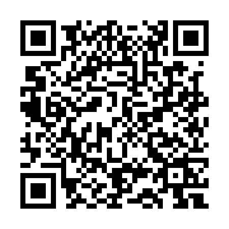 QR code for WC11