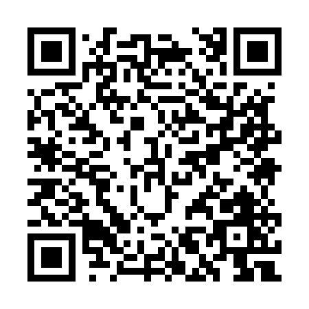 QR code for WL955