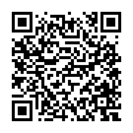 QR code for WO338
