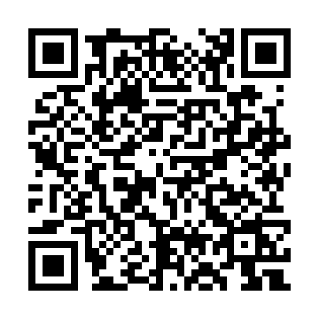 QR code for WO93
