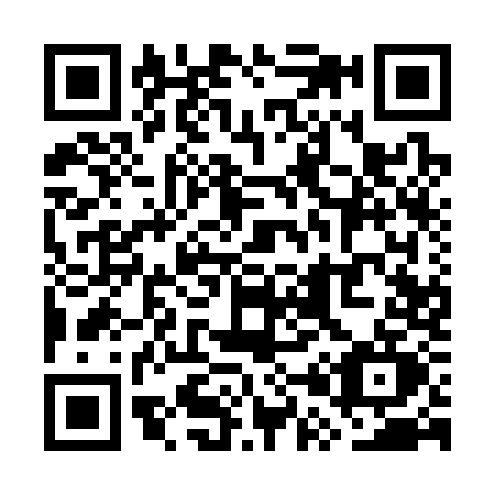 QR code for WP13