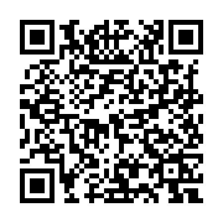 QR code for WP29