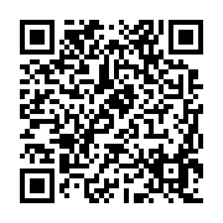 QR code for XD229