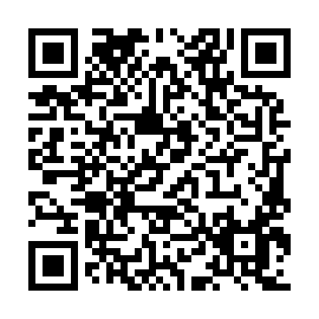QR code for XD599