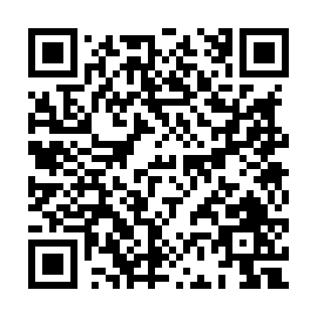 QR code for XF386