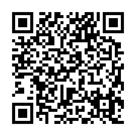 QR code for XI333