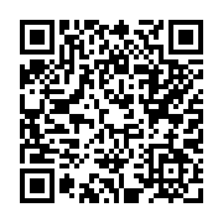 QR code for XS439