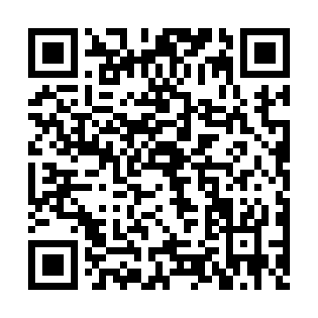 QR code for XZ413