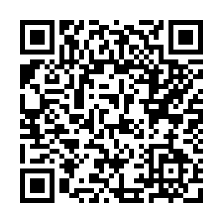 QR code for YI335