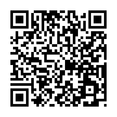 QR code for YJ385
