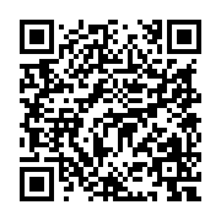 QR code for YK389
