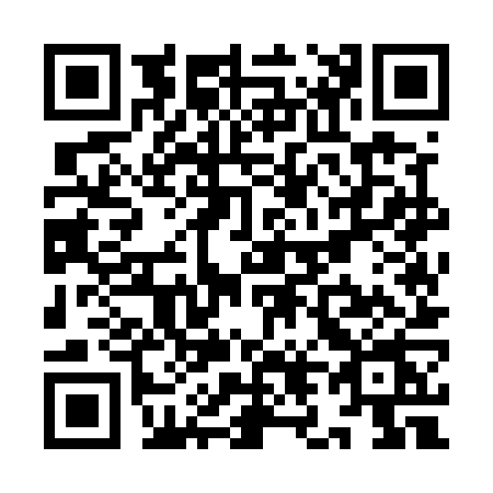 QR code for YL55