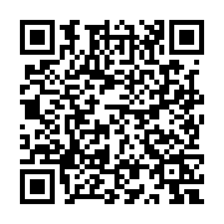 QR code for YP81