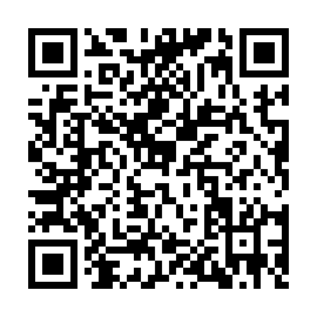 QR code for YP811