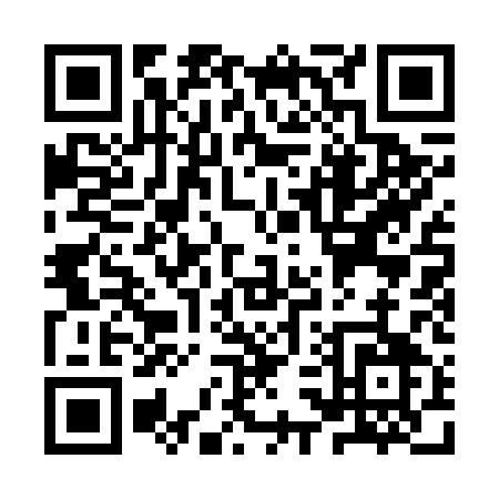 QR code for YS161