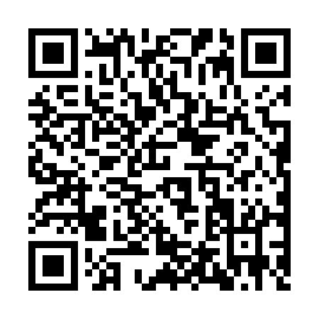 QR code for YT641
