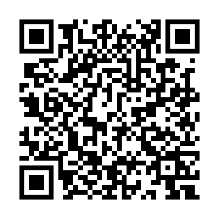 QR code for YV11