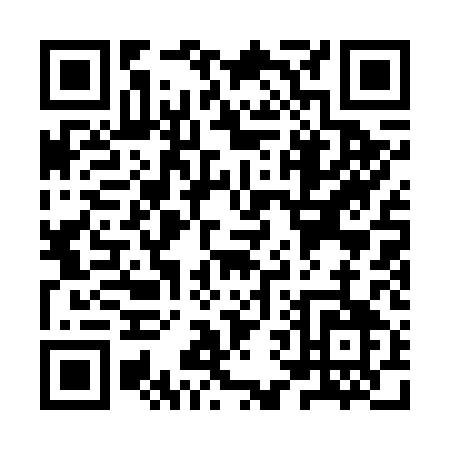 QR code for YV161