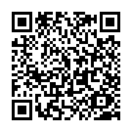 QR code for YV17