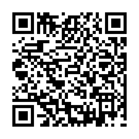 QR code for YV338