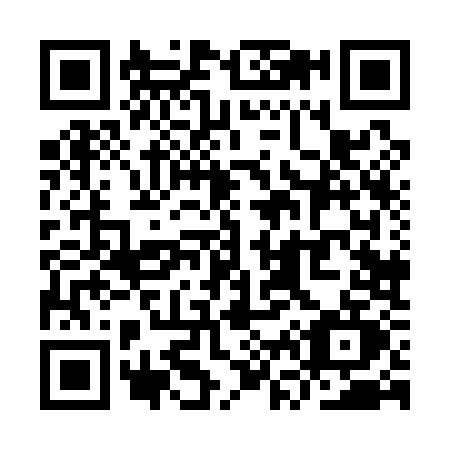 QR code for YV81