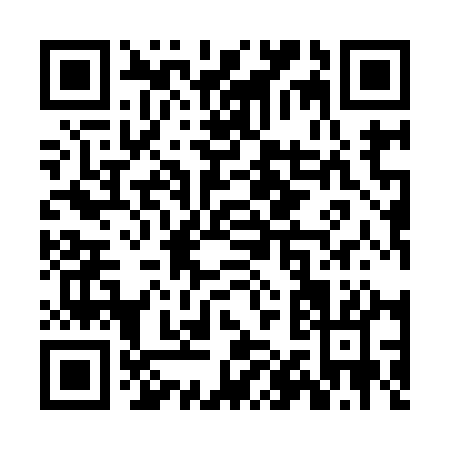 QR code for ZA991
