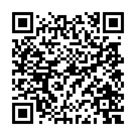 QR code for ZB300