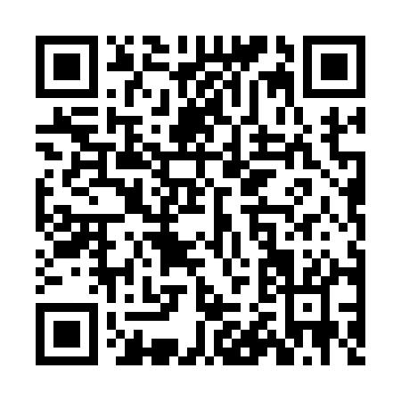 QR code for ZB411