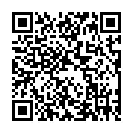 QR code for ZD317