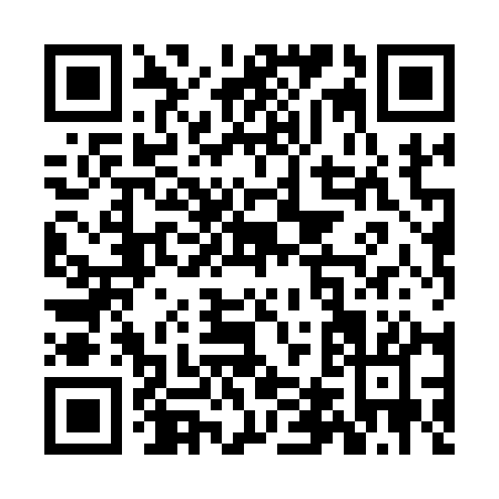 QR code for ZD811