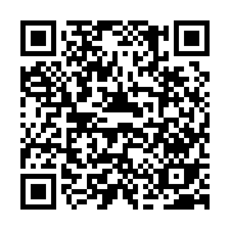 QR code for ZD913