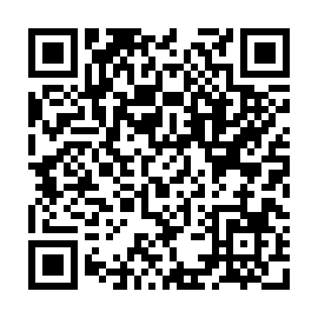 QR code for ZE838