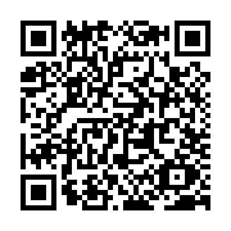 QR code for ZF31
