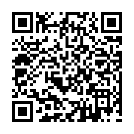 QR code for ZF384