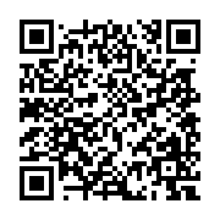 QR code for ZG209