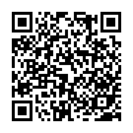 QR code for ZH339