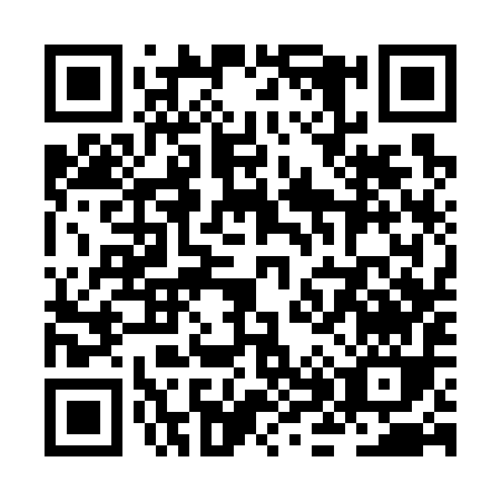QR code for ZH379