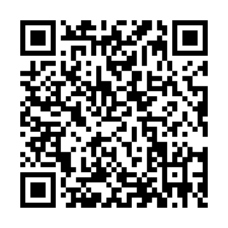 QR code for ZH941