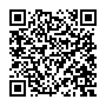 QR code for ZI250