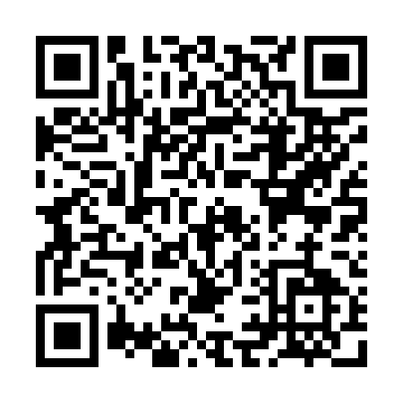 QR code for ZI295