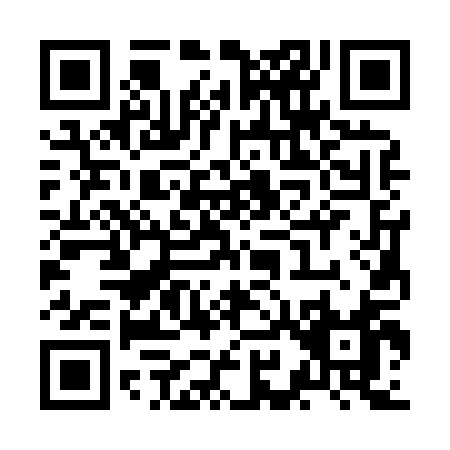 QR code for ZI381