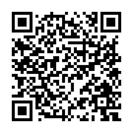 QR code for ZI396