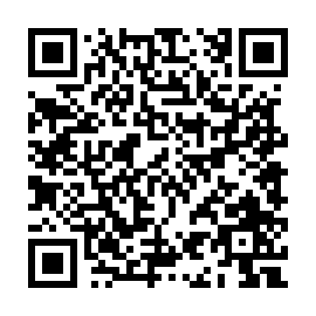 QR code for ZI450
